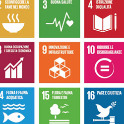 17 obiettivi di sviluppo sostenibile