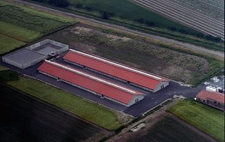 Stalle agricole con tetti a due falde.