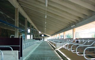 Interno di una porcilaia con file ordinate di recinti in acciaio inox separati da un corridoio centrale.