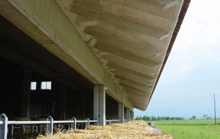 Dettaglio della struttura interna di una stalla con tetto in cemento e fieno in primo piano.