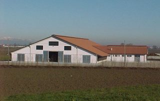 Stalla con tetto rosso e annessi.