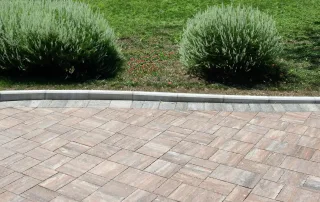 Cordolo in cemento a profilo curvo, separante un'area pavimentata con autobloccanti effetto pietra da una zona verde con cespugli e prato.