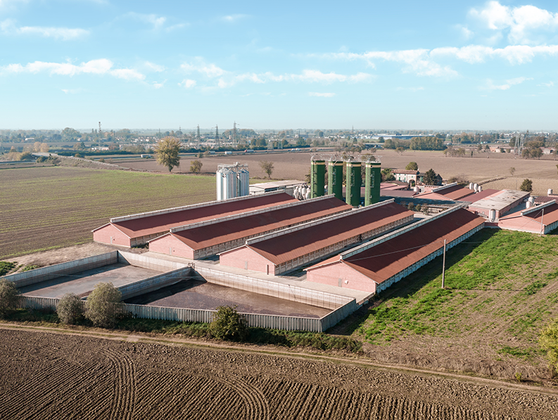 Complesso di edifici agricoli con tetti a doppia falda ricoperti da pannelli solari. Le strutture in mattoni rossi sono immerse in un paesaggio rurale, con vasche di raccolta dei liquami.