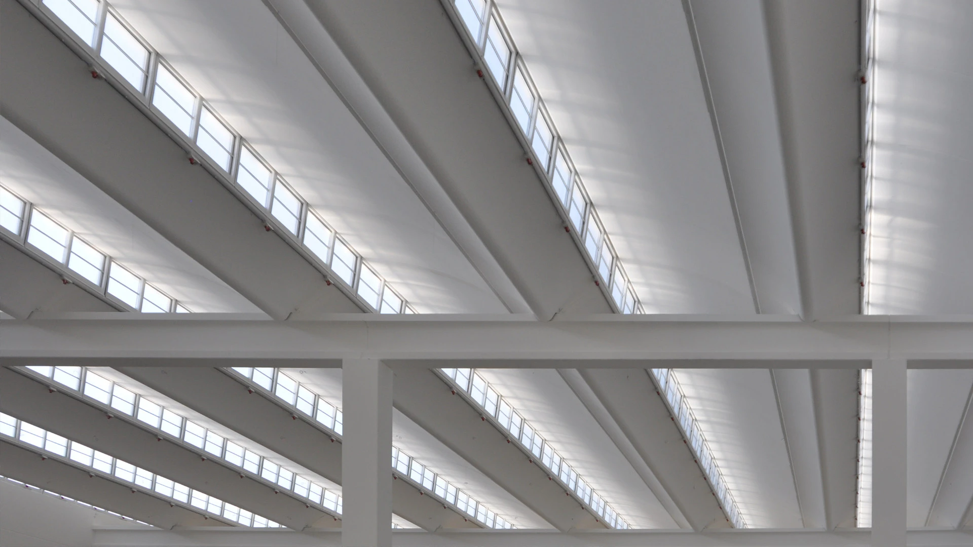 Soffitto di un capannone industriale con travi bianche.