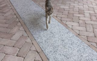 Pavimentazione in mattoni disposti a spina di pesce con fasce in pietra chiara; un gatto grigio cammina sulla superficie.