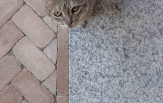 Pavimentazione in mattoni disposti a spina di pesce con fasce in pietra chiara; un gatto grigio cammina sulla superficie.