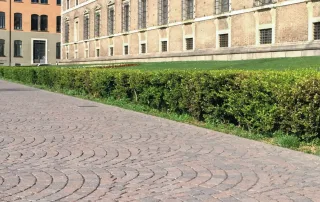 Pavimentazione in mattoni con motivo a semicerchi.