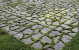 Pavimentazione drenante in pietra con fughe erbose.