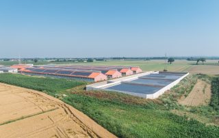 Complesso di edifici agricoli con tetti a doppia falda ricoperti da pannelli solari. Le strutture in mattoni rossi sono immerse in un paesaggio rurale, con vasche di raccolta dei liquami in primo piano.