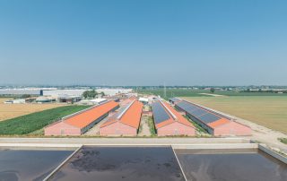 Complesso di edifici agricoli con tetti a doppia falda ricoperti da pannelli solari. Le strutture in mattoni rossi sono immerse in un paesaggio rurale, con vasche di raccolta dei liquami in primo piano.