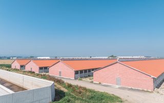 Complesso di edifici agricoli con tetti a doppia falda ricoperti da pannelli solari.