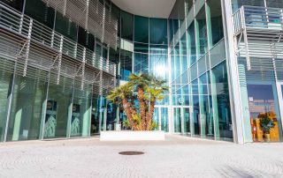Pavimentazione in pietra chiara con disposizione a ventaglio, in armonia con il giardino centrale caratterizzato da una pianta di palme, davanti a una moderna facciata in vetro.