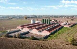 Vista aerea di un complesso di porcilaie con edifici in mattoni e tetti rossi dotati di pannelli solari. Sono visibili vasche di raccolta dei liquami e silos per il mangime, circondati da campi coltivati e alberi.