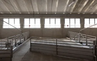 Interno di una porcilaia con recinzioni metalliche e pavimento a griglie.Struttura in cemento e metallo, con un sistema di distribuzione automatizzata visibile sul soffitto.