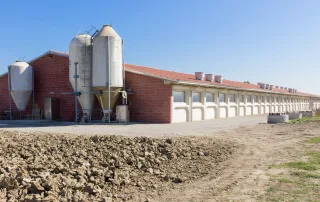 Struttura di una porcilaia moderna con pareti in mattoni e tetto spiovente, dotata di silos e prese d'aria sulla copertura.