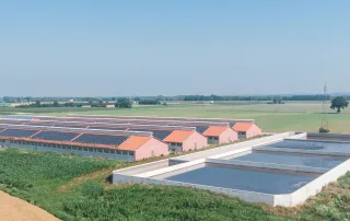 Veduta aerea di un complesso di porcilaie con tetti in tegole rosse, su cui sono installati pannelli solari. In primo piano si trovano grandi vasche in cemento per la raccolta dei liquami.