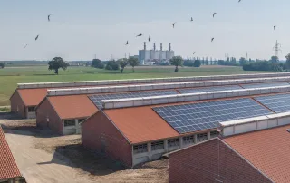 Vista aerea di un complesso di porcilaie con tetti in tegole rosse, dotati di pannelli solari.
