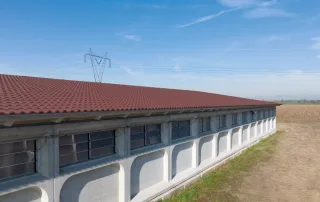 Vista esterna di una porcilaia con struttura in cemento, tetto in tegole rosse e una serie di finestre dotate di pannelli di ventilazione