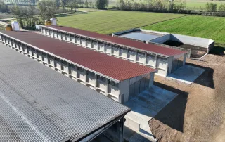 Vista aerea di un complesso di porcilaie con tetti in tegole rosse e pareti in cemento. Le strutture sono disposte in parallelo, circondate da campi verdi e dotate di impianti per la gestione dei rifiuti.