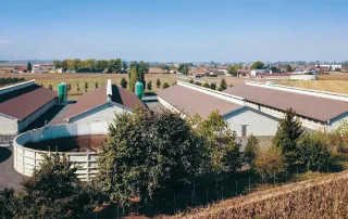 Veduta aerea di un complesso di porcilaie immerse. Gli edifici agricoli hanno pareti in cemento, con sistemi di ventilazione e silos verdi . In primo piano, un grande serbatoio circolare.