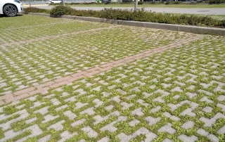 Pavimentazione grigliata in calcestruzzo con erba tra gli spazi.